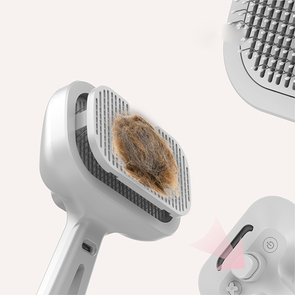 Typ-C Aufladbarer Haustier-Spr – Hair Care Is Self Care Bewertung und Preis