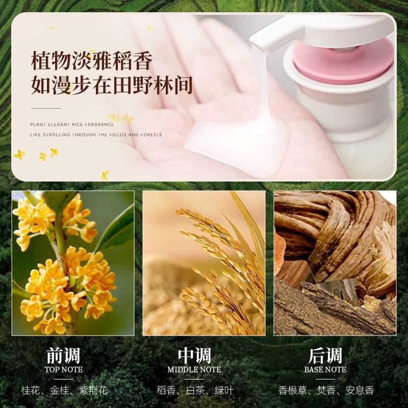 Changfa Xiaozhai Reiswasser-Sh – Hair Care With Rice Water Bewertung und Preis