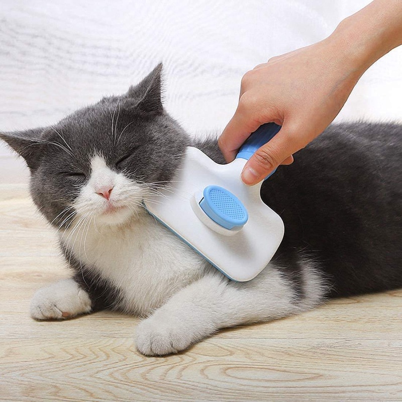 Selbstreinigende Zupfbürste Ti – Hair Care Is Self Care Bewertung und Preis